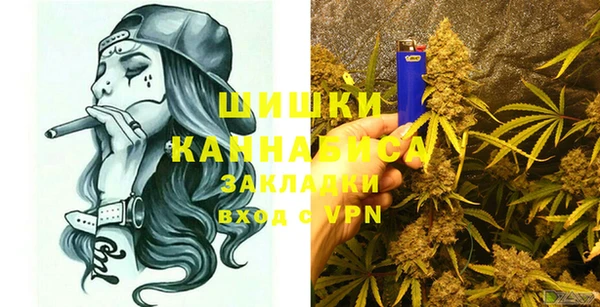 спиды Богородск