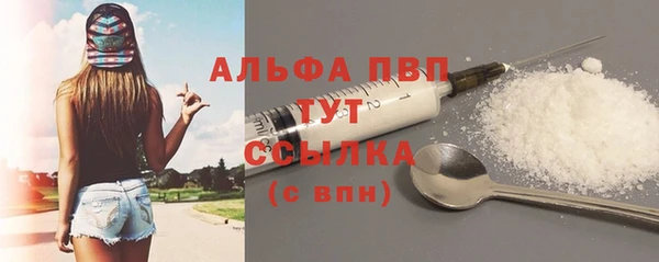 спиды Богородск