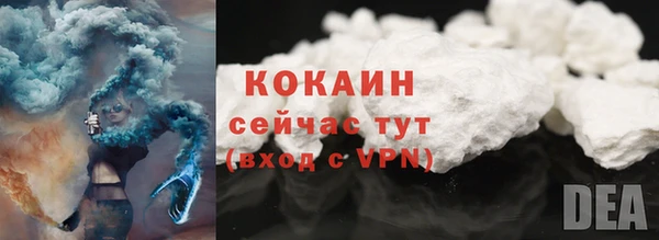 спиды Богородск