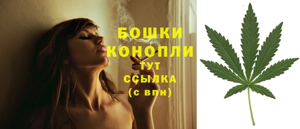 ECSTASY Богородицк