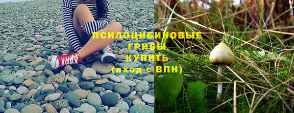 круглые Бородино
