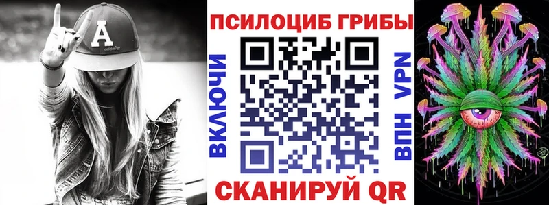 Псилоцибиновые грибы MAGIC MUSHROOMS  продажа наркотиков  Менделеевск 