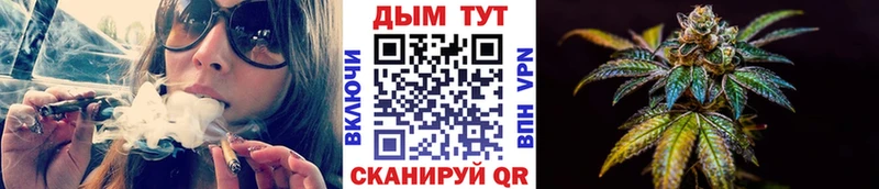 магазин продажи наркотиков  Менделеевск  Бошки Шишки THC 21% 